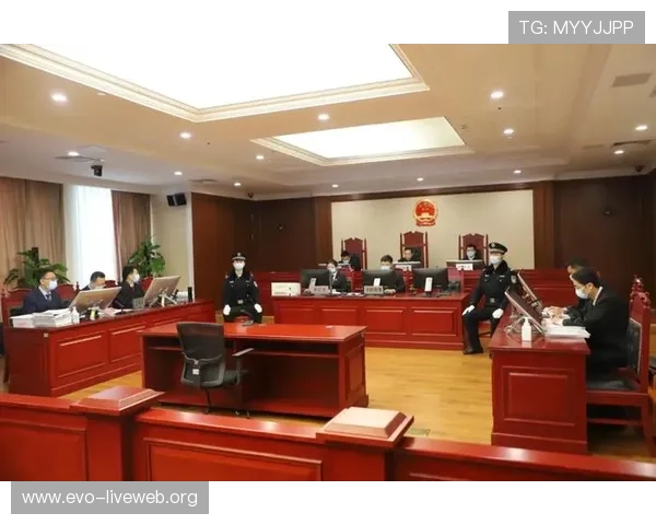 完美视讯的路子:打造极致高清会议体验的秘密方案 完美视讯的路子:打造极致高清会议体验的秘密方案