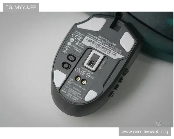 全面解析真人接口在提升游戏沉浸感中的关键作用与实现方案